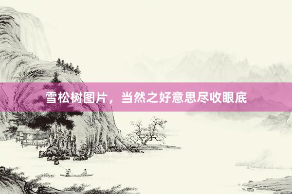 雪松树图片，当然之好意思尽收眼底